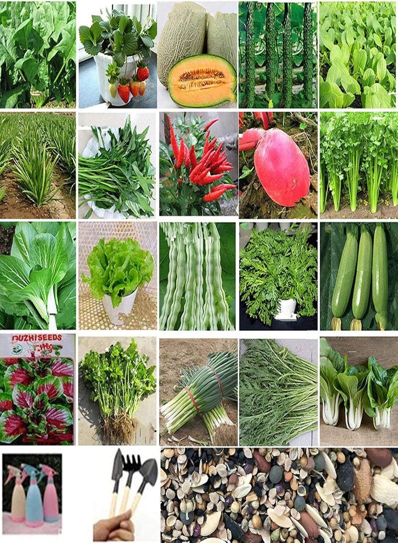 GGOOT Fresh Fruit Seed with 100Pcs Mixed 20-Species Vegetable Fruits Seeds with Watering Can Planting Tools for Planting Garden Yard Home Landscaping - Image 2