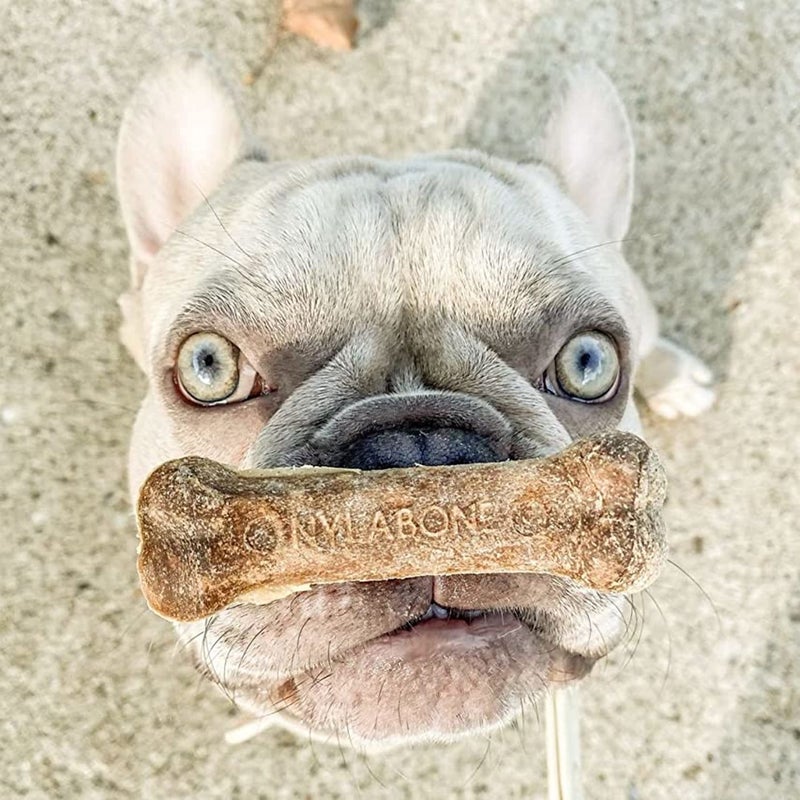 Nylabone Healthy Edibles Natural Dog Chews Long Lasting Roast Beef Flavor Treats for Dogs, Medium/Wolf (2 Count) - Image 2