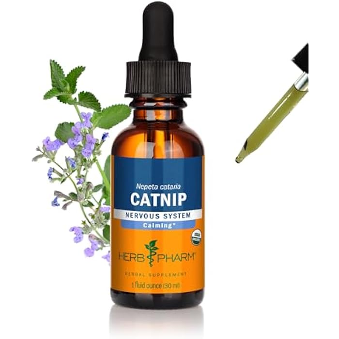 Herb Pharm Certified Organic Catnip Liquid Extract for Calming Nervous System Support, 1 Fl Oz - Image 1