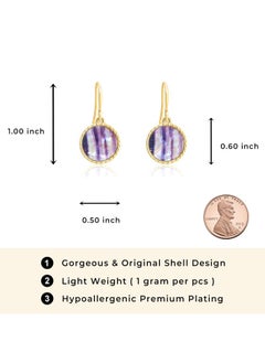 Boho Gold Colorful Abalone Shell Small Circle Dangle Drop Earrings For Women - pzsku/ZD692084B43243411C1F4Z/45/_/1733731315/5d4ab8d8-7217-49e5-a526-4fbef674cc7b