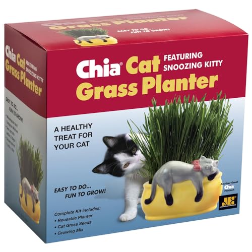 Chia Pet Kitty Cat Grass, Decorative Pottery Planter, Easy to Do and Fun to Grow, Novelty Gift, Perfect for Any Occasion - Image 1