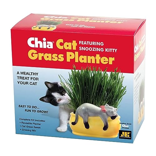 Chia Pet Kitty Cat Grass, Decorative Pottery Planter, Easy to Do and Fun to Grow, Novelty Gift, Perfect for Any Occasion - Image 2