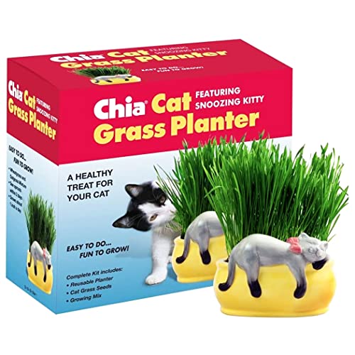 Chia Pet Kitty Cat Grass, Decorative Pottery Planter, Easy to Do and Fun to Grow, Novelty Gift, Perfect for Any Occasion - Image 4