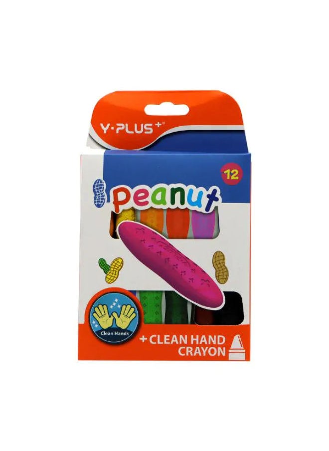 Y-Plus A Set Of 12 Short Crayons 
