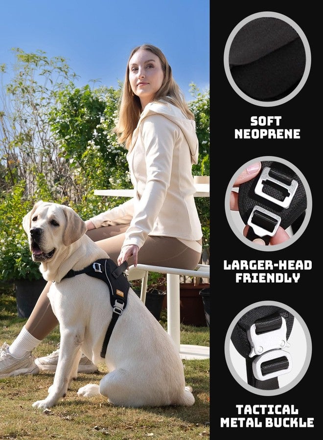 DF No Pull Martingale Dog Harness and Leash Set Silent Metal Buckle, Front Clip Reflective Harness, Adjustable Fit & Handle for Easy Walking & Training, Black, 1", Front Chest 19.7"-25.2" - Image 3