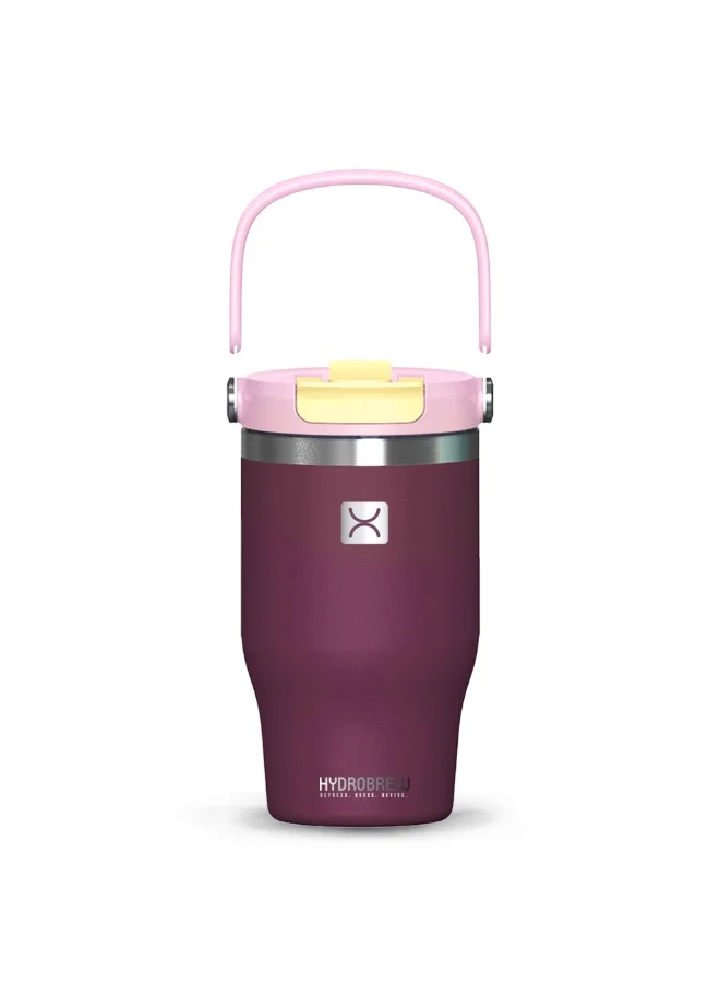 Hydrobrew Hydrobrew Vacuum Insulated Tumbler w/handle, 500ml Purple