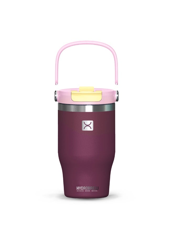 Hydrobrew Vacuum Insulated Tumbler w/ handle, 500ml Purple - Image 1