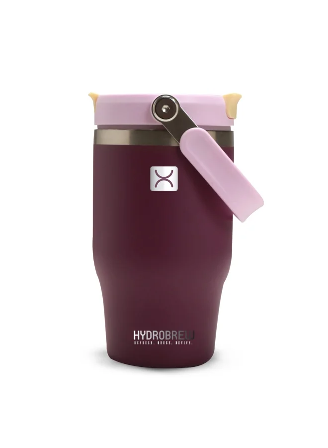 Hydrobrew Hydrobrew Vacuum Insulated Tumbler w/handle, 500ml Purple