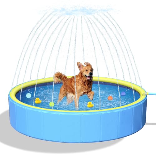 artcool 47 Thicken Small Dog PoolNonSlip KiddieKids Pool Hard Plastic2in1 Foldable Sprinkler Puppy PoolsPortable Pet Pools for Summer Outdoor Backyard - Image 1