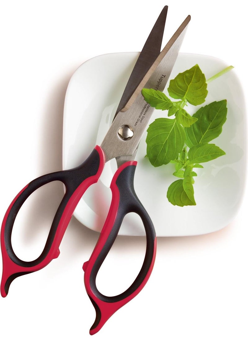 Kitchen Scissors - pzsku/ZD698B2BD07CC2E80CCEEZ/45/_/1725794599/8de0ab55-c88b-45af-9859-4689e34873ce