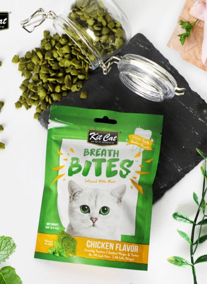 Kit Cat Breath Bites Chicken Flavor 60g - Image 2