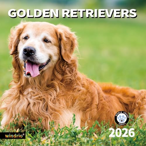 windrio 2026 Wall Calendar,Calendar 2026, November 2025 - December 2026, Wall Calendar Golden Retrievers, 12" x 24" Opened,Full Page Months Thick & Sturdy Paper for Calendar Organizing & Planning - Image 1