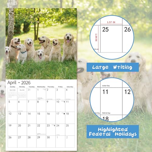 windrio 2026 Wall Calendar,Calendar 2026, November 2025 - December 2026, Wall Calendar Golden Retrievers, 12" x 24" Opened,Full Page Months Thick & Sturdy Paper for Calendar Organizing & Planning - Image 3