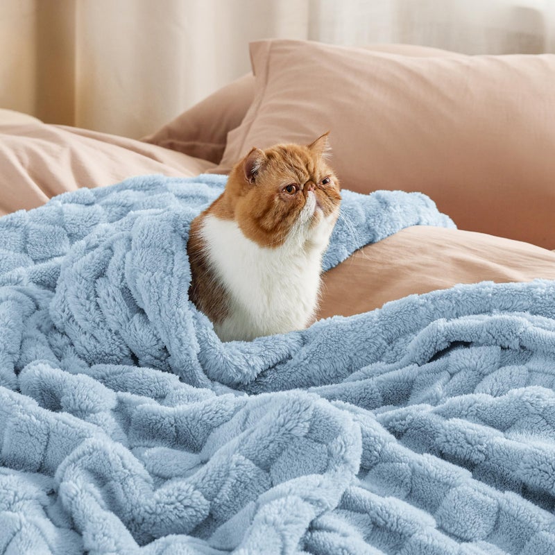 Bedsure GentleSoft Twin Blanket for Bed Light Blue - Super Soft Cozy Blankets for Women Men Girls, Cute Fuzzy Fleece Throws for Bedroom Couch, 60x80 Inches - Image 4