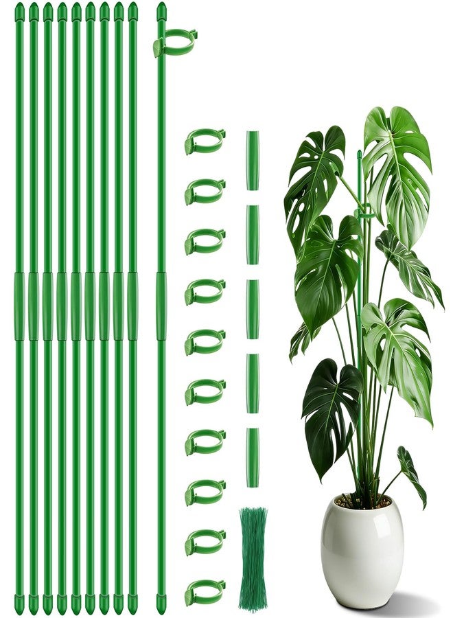 SupKing 10 Pack Plant Support Stakes 17 inch - Image 1