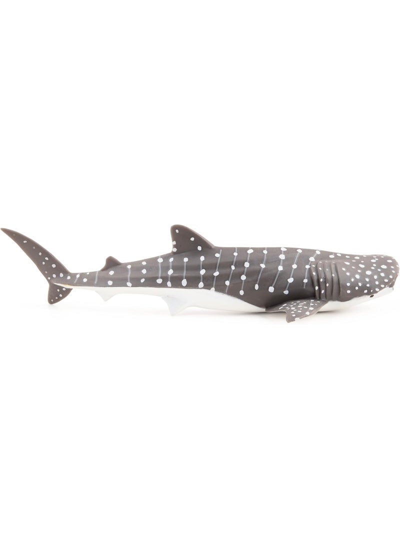 Papo Papo  handpainted  figurine  Marine Life  Young Whale Shark56046  Collectible  For Children  Suitable for Boys and Girls  From 3 years old  - Image 4