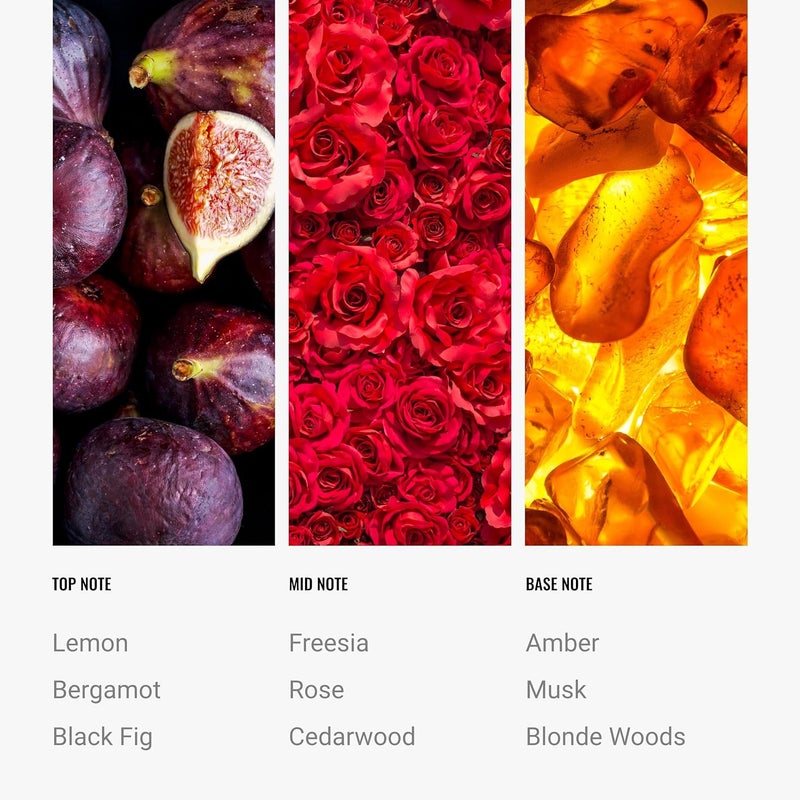 AROMA360 Hotel Collection Diffuser Oil - Black Velvet - Aromatherapy Essential Fragrance Oil - Blonde Woods, Rose, and Black Fig - 120ML 4.1 Fl oz - Image 3