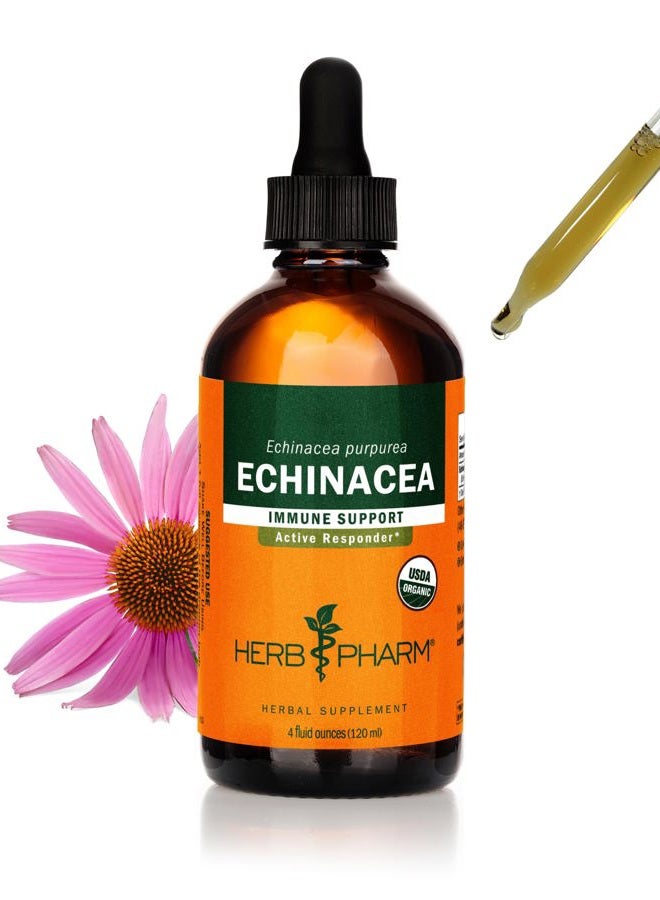 HERB PHARM Certified Organic Super Echinacea Liquid Extract for Active Immune System Support - 4 Oz - Image 1