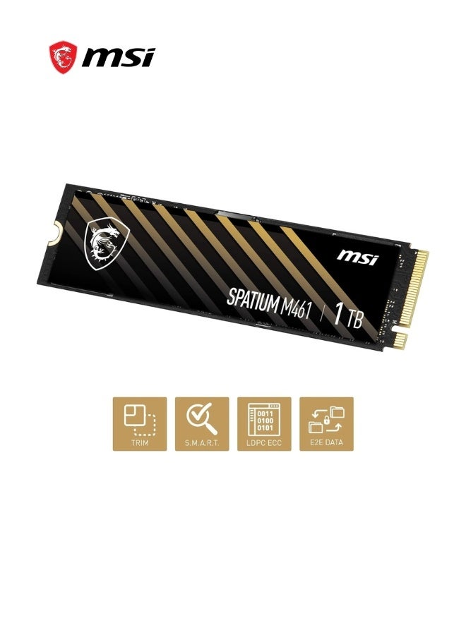 MSI SPATIUM M461 PCIe 4.0 NVMe M.2 1TB Internal SSD PCIe Gen4 NVMe for Laptop,Desktop, Gaming 1 TB - Image 4