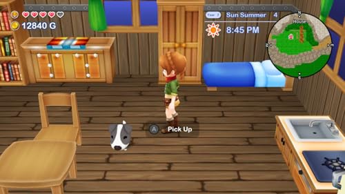 Natsume Harvest Moon The Lost Valley Skytree Village Nintendo Switch - Image 3
