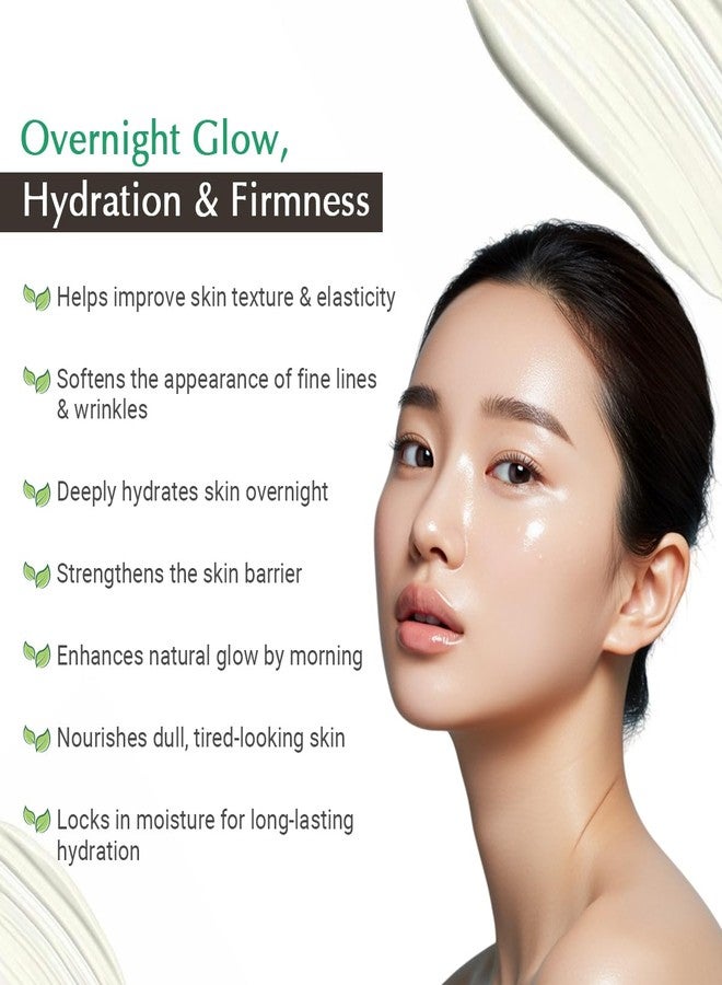 Vedic Line Vedicline Korean Glow Night Cream with Ceramide & Rice Water Barrier Care, Deep Hydration & Natural Glow Overnight Face Moisturizer - 50 ml - Image 2