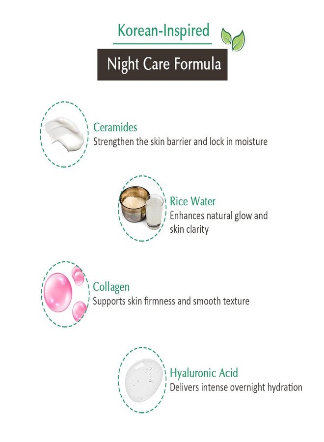 Vedic Line Vedicline Korean Glow Night Cream with Ceramide & Rice Water Barrier Care, Deep Hydration & Natural Glow Overnight Face Moisturizer - 50 ml - Image 3