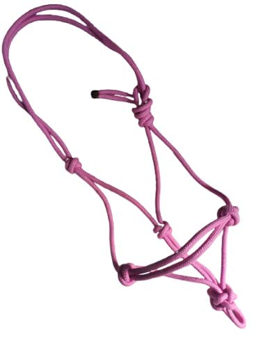 Generic Equine Overseas Horse Nylon Rope Halter with Rope Lead 6ft Multi - Image 1