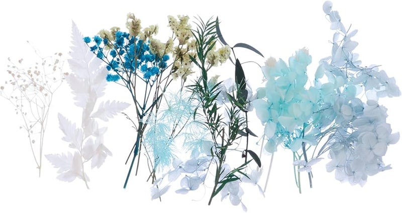 Blue Pressed Flower Kit For DIY Home Decor And Floral Arrangements - Image 2