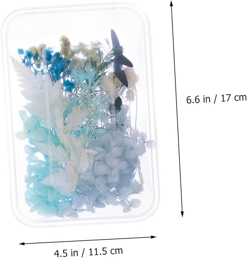 Blue Pressed Flower Kit For DIY Home Decor And Floral Arrangements - Image 3