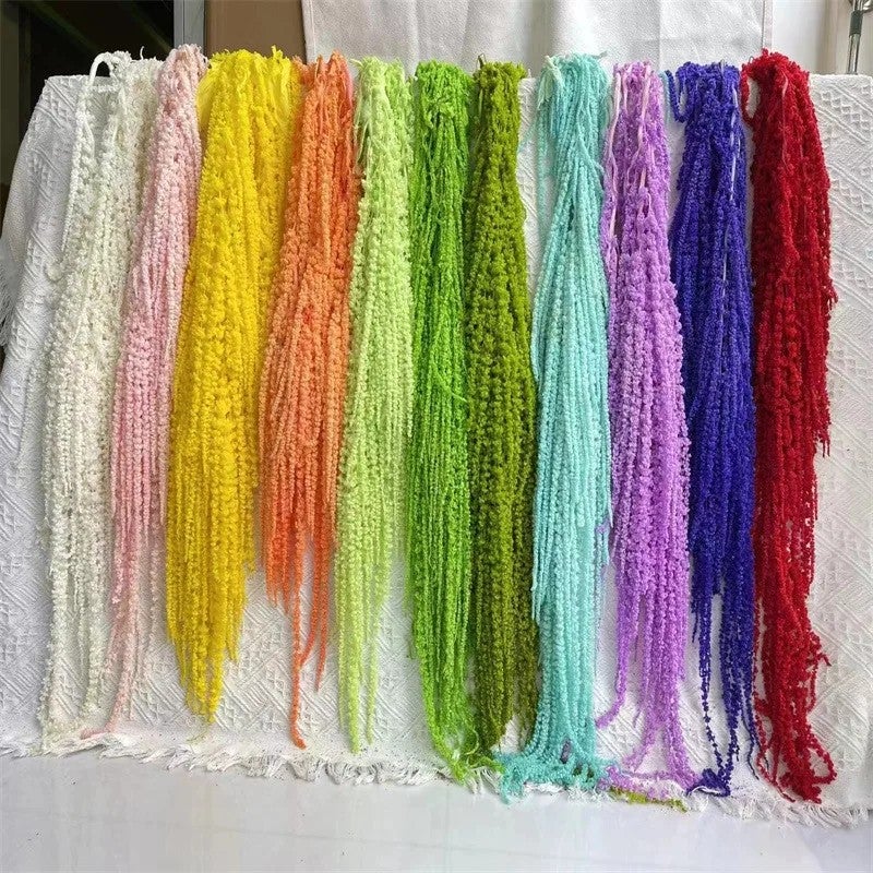 Bluejw New Color Amaranth Dried Plants – Natural Preserved Hanging Amaranthus for High-Quality Wedding Bouquet & Floral Decoration - Image 2