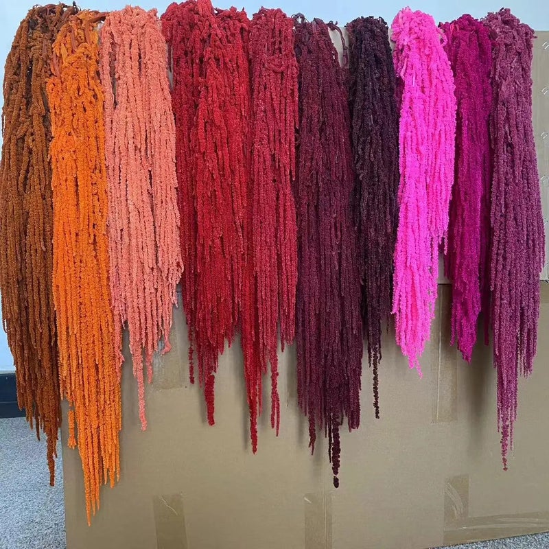 Bluejw New Color Amaranth Dried Plants – Natural Preserved Hanging Amaranthus for High-Quality Wedding Bouquet & Floral Decoration - Image 4