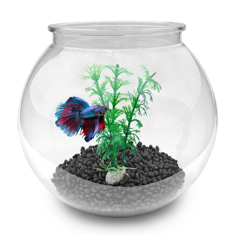 Newpol Aquarium Fish Bowls (0.8Gallon/3L) - Image 1