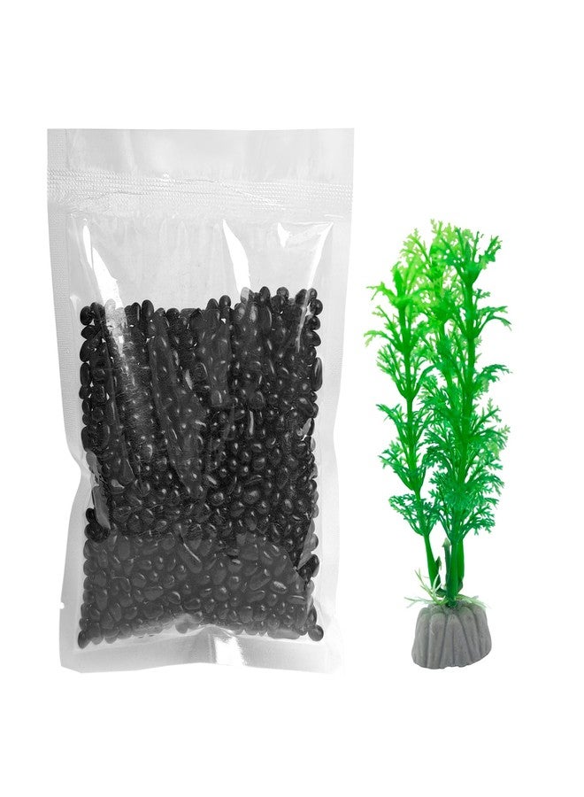 Newpol Aquarium Fish Bowls (0.8Gallon/3L) - Image 5