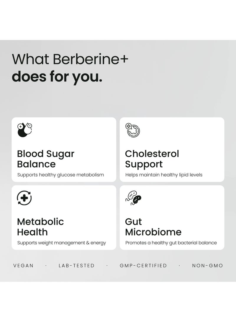 Valeo Berberine+ | 1000mg Berberine HCl | 96%+ Purity | 90 Capsules | Blood Sugar & Cholesterol Support | Metabolic Health | Weight Loss | Vegan | GMP-Certified - Image 3