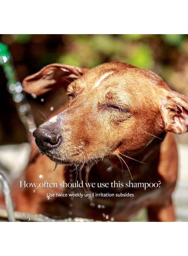 Veterinary Formula Clinical Care Antiseptic & Antifungal Medicated Shampoo 3.79L (1 gallon) [Volume - 3.79 L] - Image 3