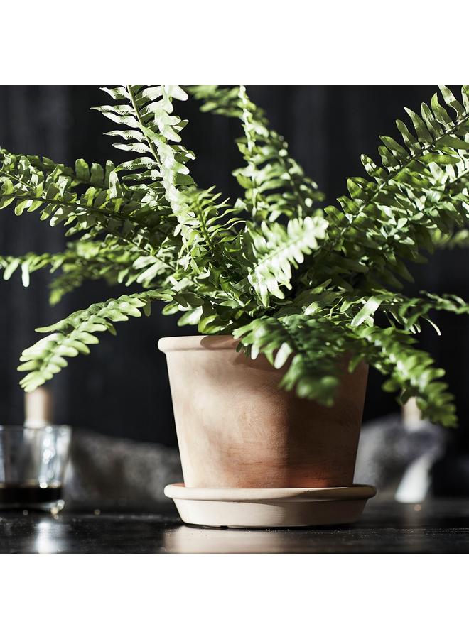 erorex Plant Pot With Saucer, In/Outdoor Terracotta, 15 Cm - Image 4