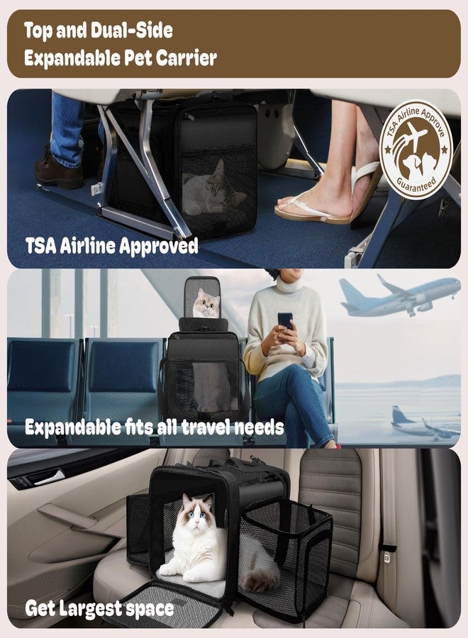 SHARLOVY Top and 2 Sides Expandable Cat Carrier 18x11x11, TSA Airline Approved Dog Carriers for Small Dogs, Soft-Sided Pet Carrier with Self-Locking Zippers for Kitten,Rabbit, Puppy, Guinea Pig Black - Image 2