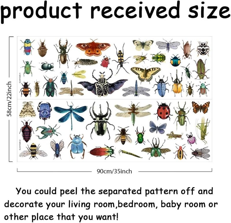 SUPERDANT Vintage Insects Scrapbook Wall Sticker Taxidermy Butterfly Wall Decor Moth Beetle Decal Dragonfly Grasshopper Vinyl Art Wallpaper for Biology Lab Library Kids Bedroom Decor 35x22in - Image 2