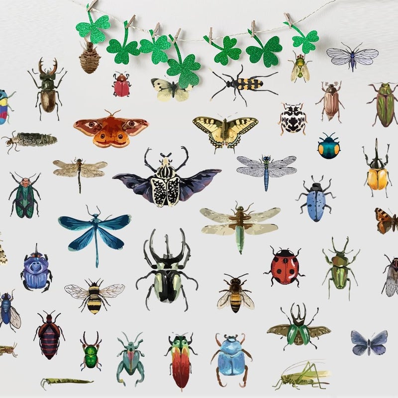 SUPERDANT Vintage Insects Scrapbook Wall Sticker Taxidermy Butterfly Wall Decor Moth Beetle Decal Dragonfly Grasshopper Vinyl Art Wallpaper for Biology Lab Library Kids Bedroom Decor 35x22in - Image 3