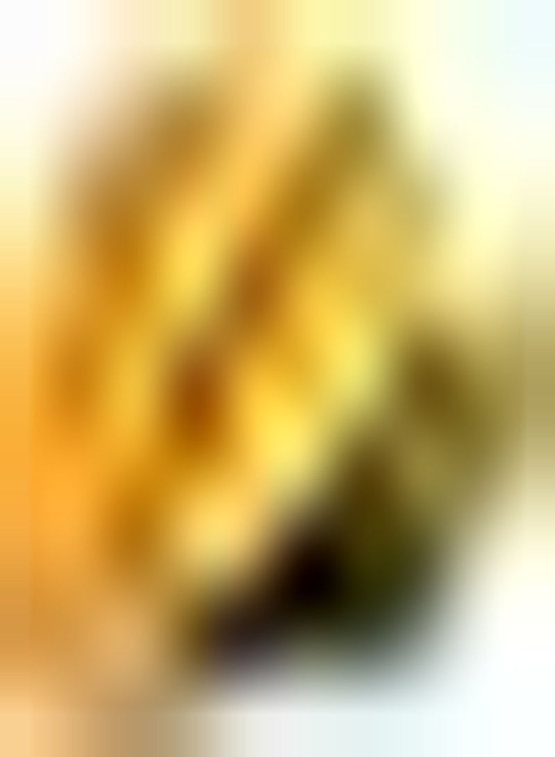 GGOOT 2pcs Mango Seeds Eye Catching for Planting in Open Areas Planting in Pieces Form Landscape Good Ecological Effect Juicy Fruit for The Family to Enjoy - Image 2