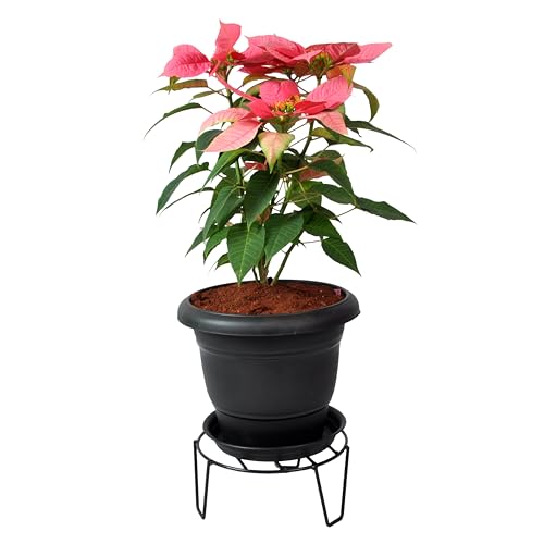 D&V ENGINEERING - Creative in innovation D&V Engineering Iron Plant Stand for Balcony and Garden | Indoor or Outdoor Flower Pot Stand for Living Room | Planter Stand for Balcony | 50kg Weight Capacity | Pack of 3, Black - Image 3