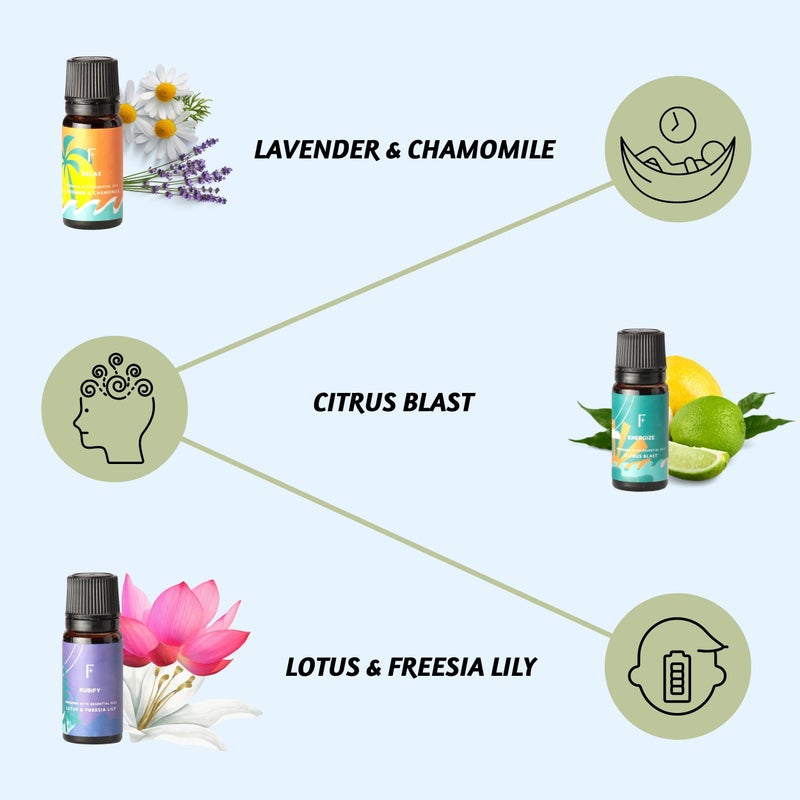 Folkulture Fall Essential Oils for Diffuser Oil, Essential Oils Set of 6 Fragrance Oil, Diffuser Oils Scents for Home, Oil Diffuser Essential Oils, Fragrance Oil for Diffuser - White Sage, Cedarwood - Image 3