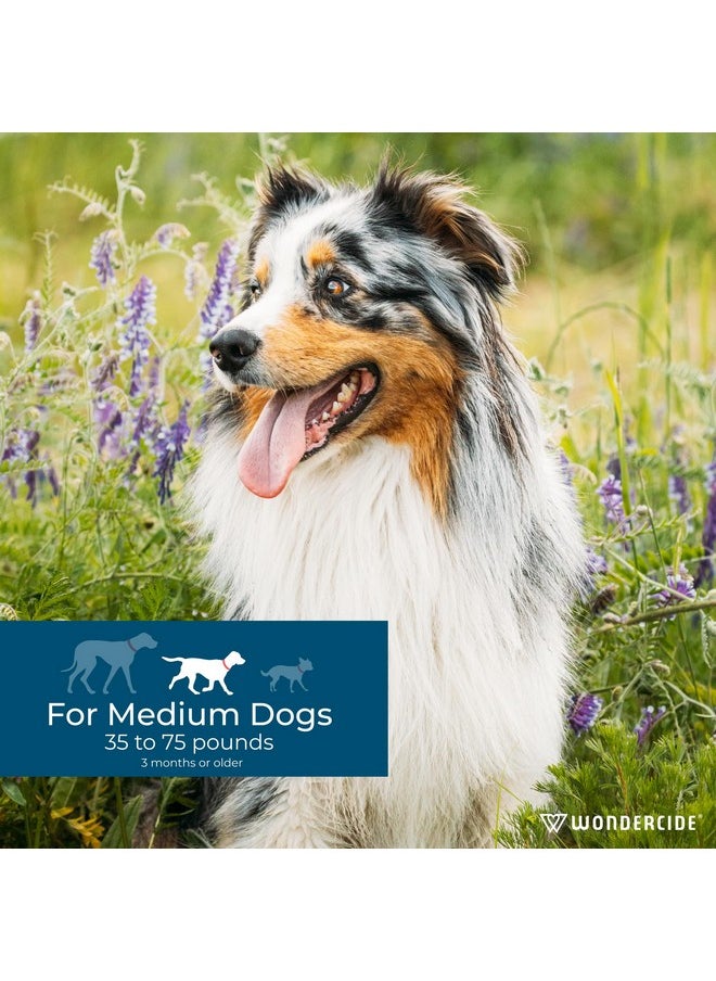 Flea & Tick Dog Spot On  Flea, Tick, And Mosquito Repellent, Prevention For Dogs With Natural Essential Oils  Up To 3 Months Protection  Medium 3 Tubes Of 0.10 Oz