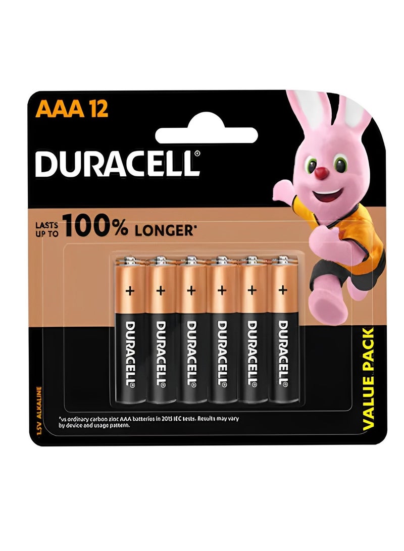 Duracell 12-Piece Superior Nylon Top Closure Type AAA Alkaline Batteries Multicolour ( Longer 100% ) - Image 1