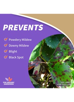Bonide Captain Jack Copper Fungicide 16 Oz Concentrated Plant Disease Control Solution For Organic Gardening  - Image 3