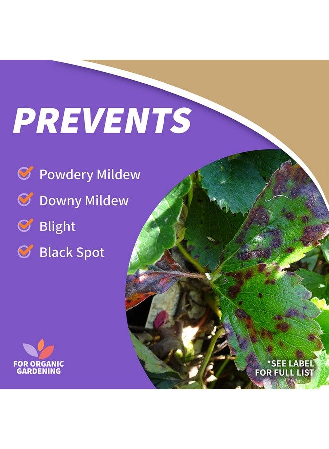 Bonide Captain Jack Copper Fungicide 16 Oz Concentrated Plant Disease Control Solution For Organic Gardening - Image 3