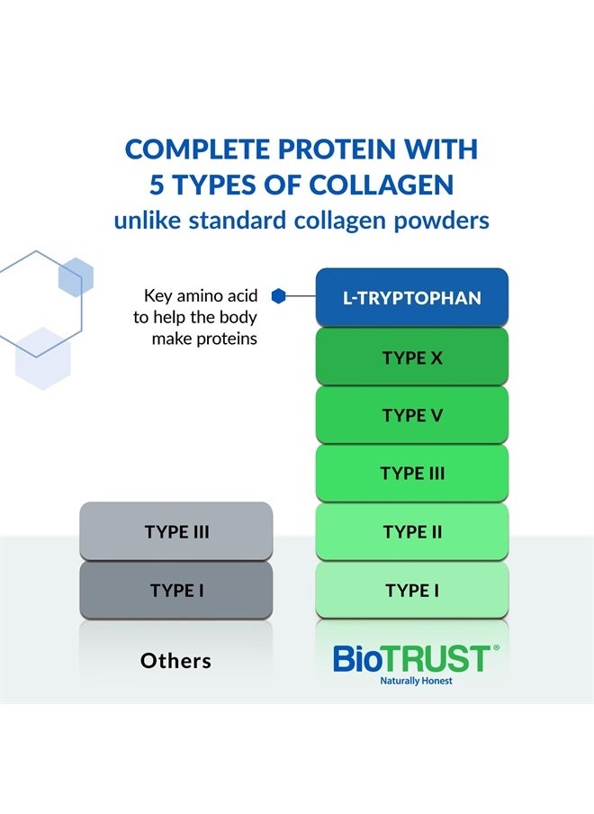 BioTrust Ageless Multi Collagen Peptides Powder – 5 Types (I, II, III, V, X) – Vanilla Collagen Powder for Women & Men – Hydrolyzed Protein – Grass Fed Beef, Fish, Chicken, Eggshell Membrane  - Image 2