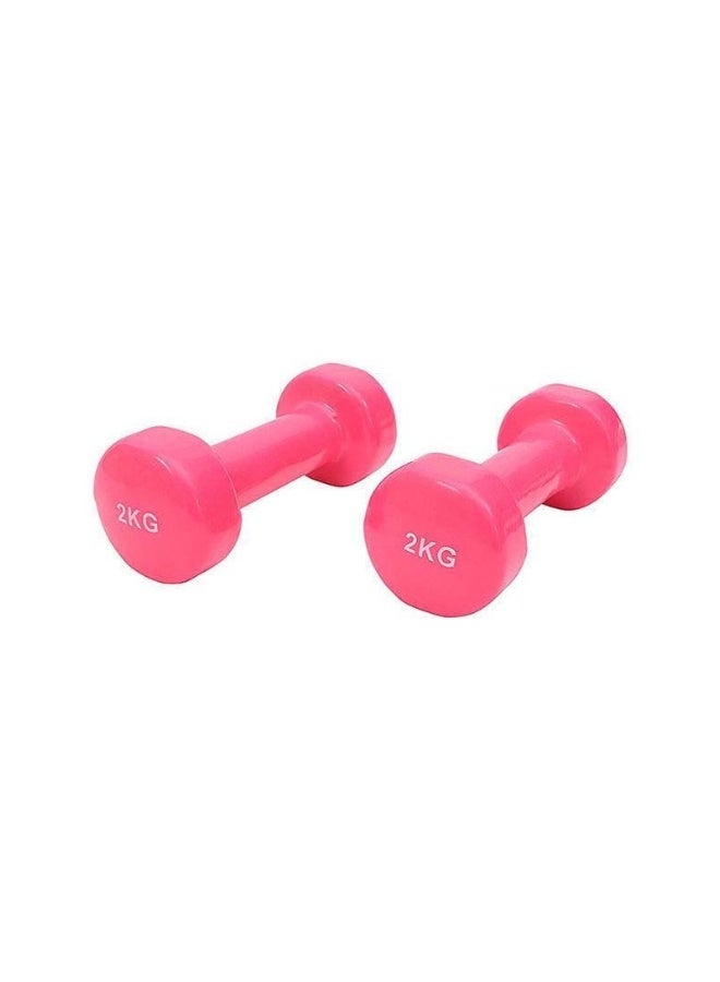 Egg 2-Piece Classic Head Dumbbell Set – 2 x 2Kg Solid Steel Dumbbells for Strength Training - Image 3