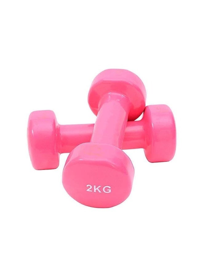 Egg 2-Piece Classic Head Dumbbell Set – 2 x 2Kg Solid Steel Dumbbells for Strength Training - Image 1