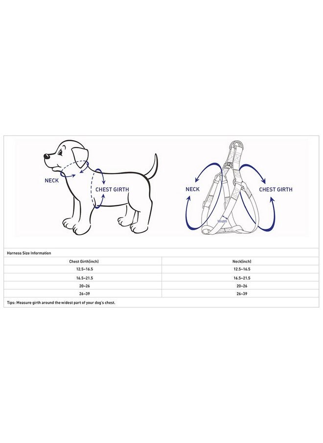 Blueberry Pet Essentials 2 Patterns Step-in Ladybug Designer Dog Harness, Chest Girth 20" - 26", Medium, Adjustable Harnesses for Dogs - pzsku/ZD6AC9E7F748C99D0481AZ/45/_/1737031724/dbdfe964-0192-427a-bf80-00c1215558c8